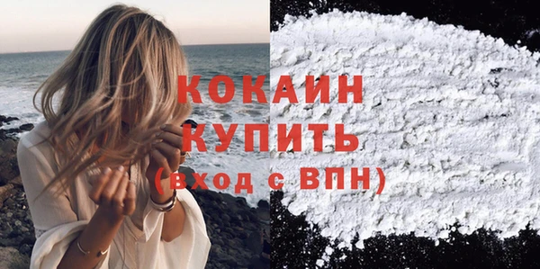 индика Каменск-Шахтинский