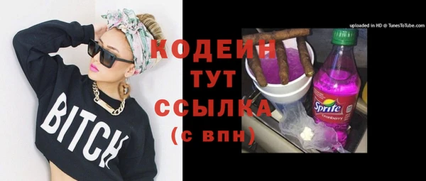 индика Каменск-Шахтинский