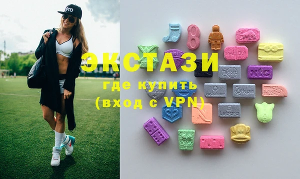 ECSTASY Инсар