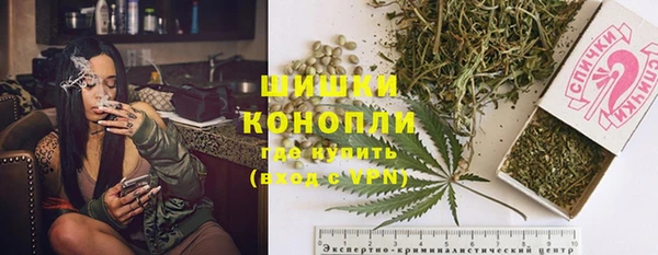 spice Касимов