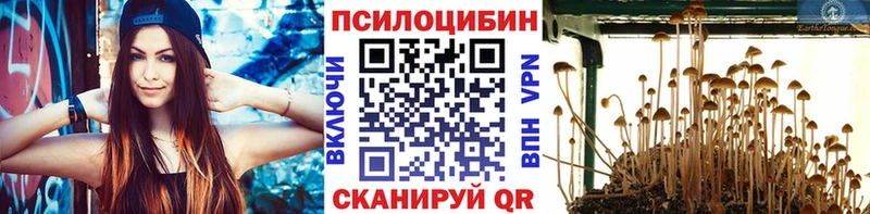 Псилоцибиновые грибы Psilocybe Безенчук